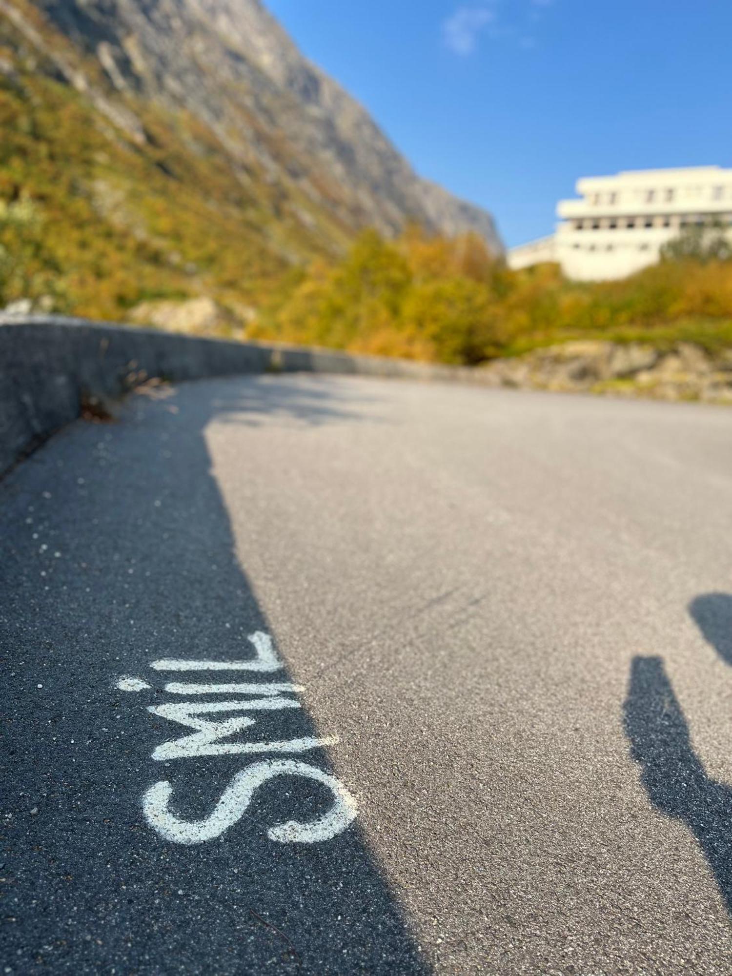 Videseter Stryn
